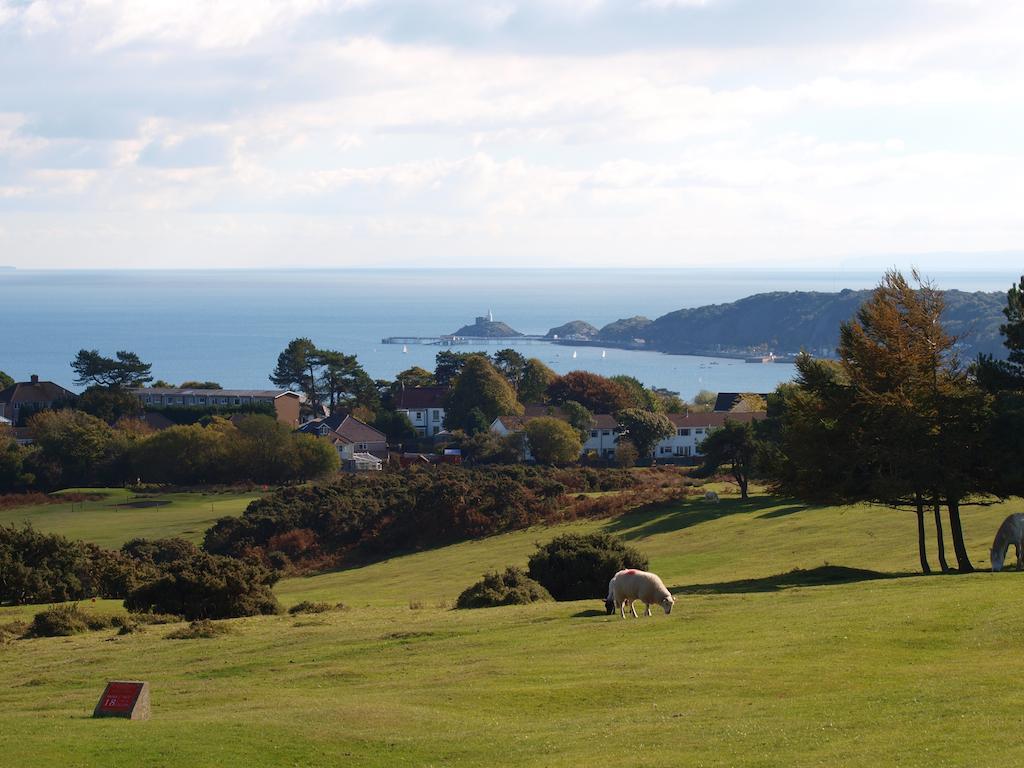 Somerfield Lodge Swansea Eksteriør billede